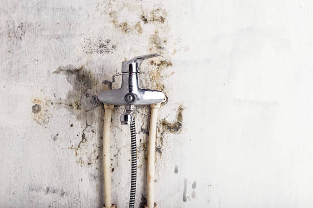 Best Mold Remediation for Schools in Vassar College, NY