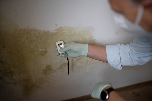 Best Mold Remediation for Schools in Vassar College, NY