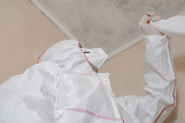 Best Emergency Mold Remediation in Vassar College, NY